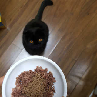 달님님이 올린 리뷰 사진 3