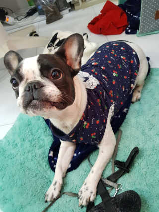 김민지님이 올린 리뷰 사진 1