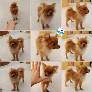 홍가짱님이 올린 리뷰 사진 3