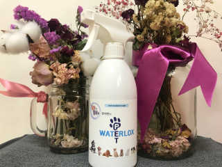 whitek님이 올린 리뷰 사진 1