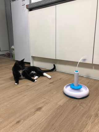 꽃살롱님이 올린 리뷰 사진 3