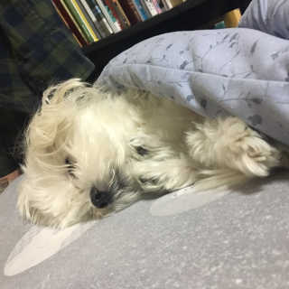 판다님이 올린 리뷰 사진 3