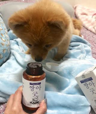 SunPark님이 올린 리뷰 사진 2