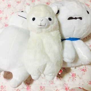 예지님이 올린 리뷰 사진 1