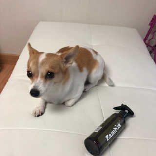 바리누나님이 올린 리뷰 사진 3