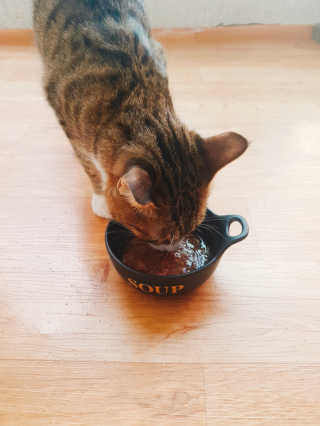 임예림님이 올린 리뷰 사진 3