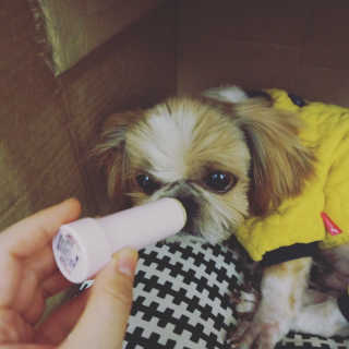 향이님이 올린 리뷰 사진 2