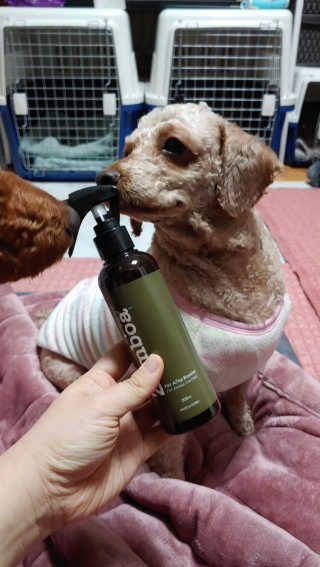 무지개둥이네님이 올린 리뷰 사진 1