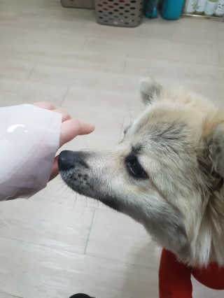 🤗혀나의 뷰티스타그램🤗님이 올린 리뷰 사진 3