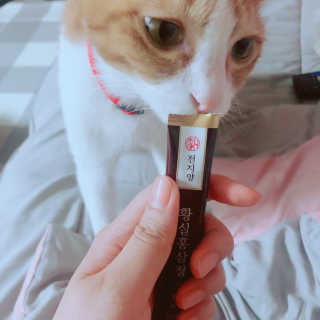 Honeyshop님이 올린 리뷰 사진 2