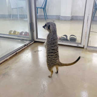 디에이님이 올린 리뷰 사진 2