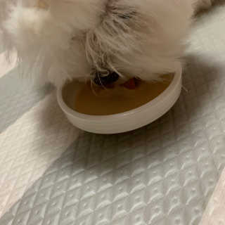 어거스트비님이 올린 리뷰 사진 3