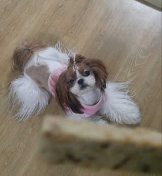 하나님이 올린 리뷰 사진 2