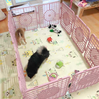 쩡잉님이 올린 리뷰 사진 3