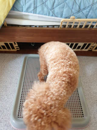 하승님이 올린 리뷰 사진 3