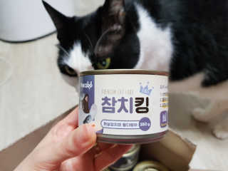 동원 참치킹 고양이 캔 12개입 — 5점을 준 리뷰어가 2018년 10월 올린 사용 사진