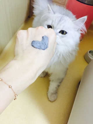 노다희님이 올린 리뷰 사진 1