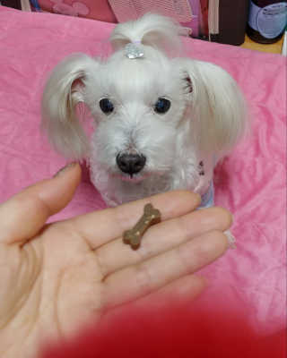 비커잠해피님이 올린 리뷰 사진 2