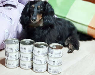 원말삼닥님이 올린 리뷰 사진 3