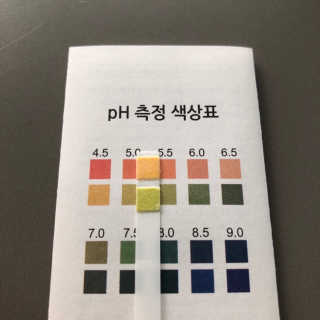 포므시 스노우화이트클렌징폼pH5.5 — 5점을 준 리뷰어가 2019년 10월 올린 사용 사진