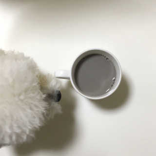 민지님이 올린 리뷰 사진 4