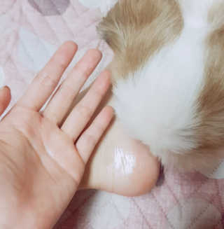 최연희님이 올린 리뷰 사진 2