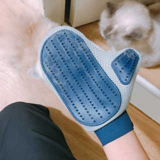 Four paws 리뉴얼 포포즈 매직코트 털 제거 브러쉬 — 4점을 준 리뷰어가 2018년 8월 올린 사용 사진