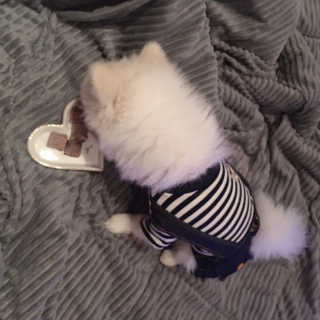 백설님이 올린 리뷰 사진 4