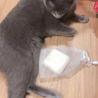 sisi님이 올린 리뷰 사진 2