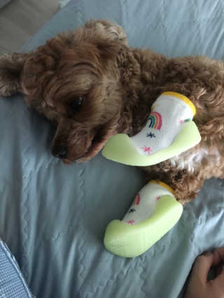 하리비트님이 올린 리뷰 사진 4