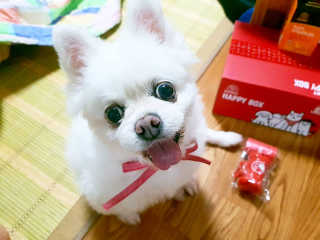 서연님이 올린 리뷰 사진 3