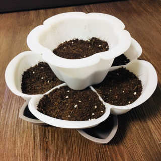 고아라님이 올린 리뷰 사진 3