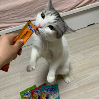 나니님이 올린 리뷰 사진 4