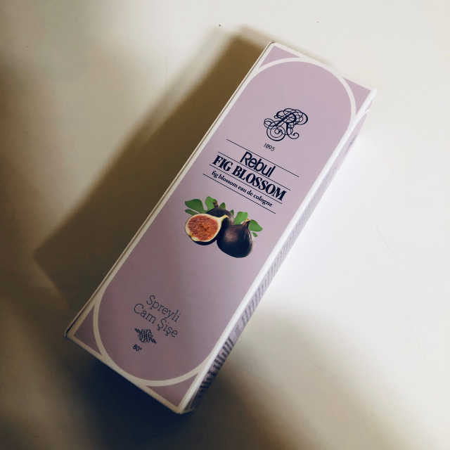 레불 피그 블로썸 리뷰 사진