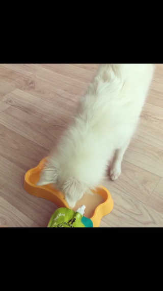 뽀으리이님이 올린 리뷰 사진 2