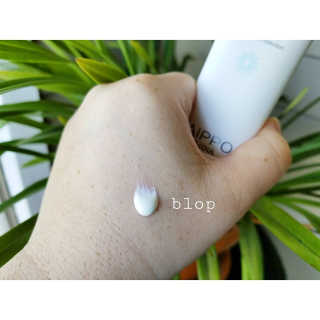 Peepingpomeranian님이 올린 리뷰 사진 3
