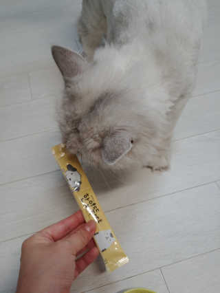 [펫토리아]짜먹는 한입뚝딱 강아지.고양이 마약간식 — 5점을 준 리뷰어가 2019년 8월 올린 사용 사진