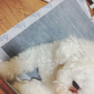 개날나리님이 올린 리뷰 사진 4