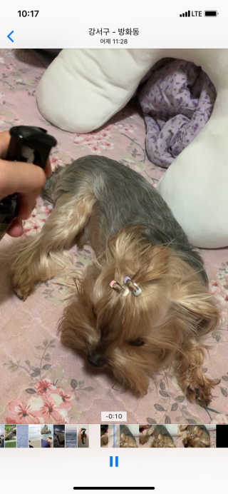 이미경님이 올린 리뷰 사진 3