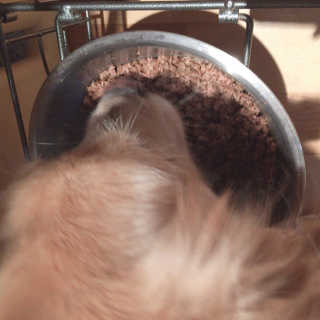 wooriYul님이 올린 리뷰 사진 2