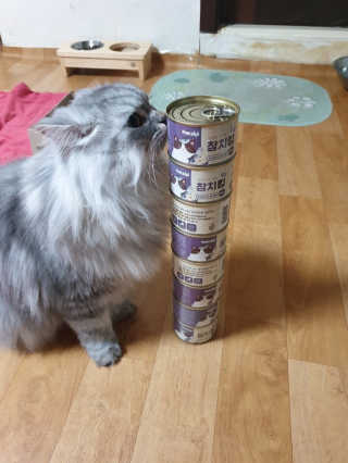 스님래퍼님이 올린 리뷰 사진 2