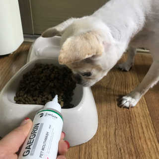 서은님이 올린 리뷰 사진 2