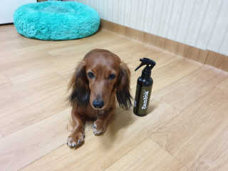 WooKyoungKim님이 올린 리뷰 사진 4