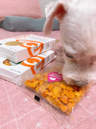 으니부기님이 올린 리뷰 사진 2