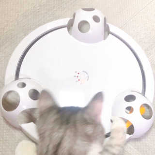 sb6567님이 올린 리뷰 사진 2