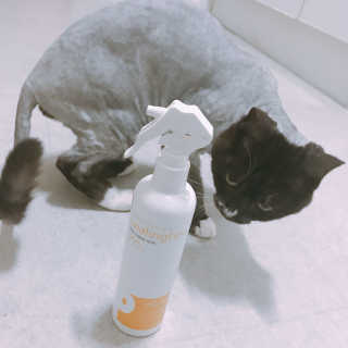 이잉룽님이 올린 리뷰 사진 2