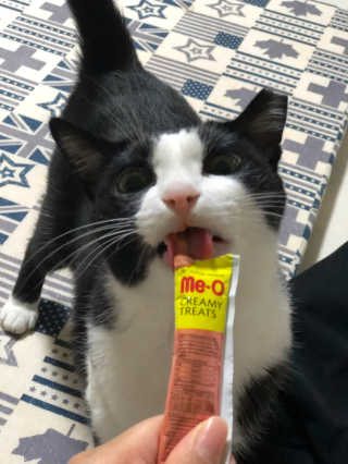 서새미님이 올린 리뷰 사진 1