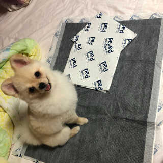 김다경님이 올린 리뷰 사진 1