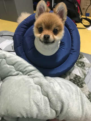 민뉴미님이 올린 리뷰 사진 3