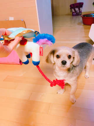 쮸동비님이 올린 리뷰 사진 3